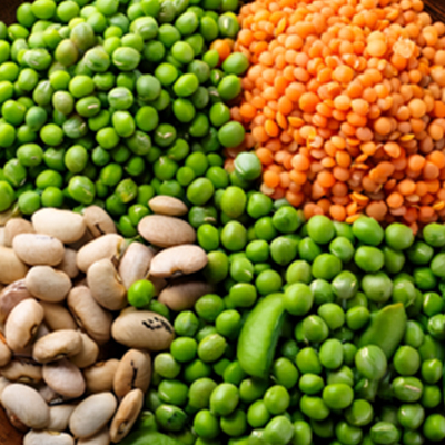 Fresh legumes and lentils